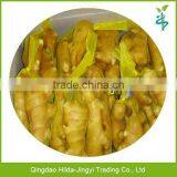 Chinese Fresh Ginger, Ginger Price in China
