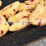 Industrial High Efficient Fresh Ginger Potato Washer and Peeler Root Vegetable Washing and Peeling Machine Fish Skin Peeler thumbnail-3