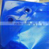 Popular Blue Color Leakproof Cross Laminated Tarpaulin Fish Tank for Pond thumbnail-3