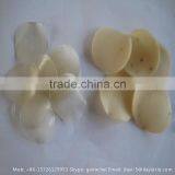 Automatic 3d 2d Pellet /waved Chips Process Plant From Jinan DAYI Machinery thumbnail-1