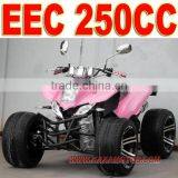 250cc ATV Quad thumbnail-1