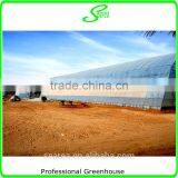 100x8m Agricultural Plastic Tunnel Greenhouse for Sale thumbnail-3