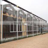 Different Models of Venlo Glass Multi-tunnel Green House With Good After-sale Service thumbnail-1