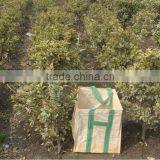 PP STAND BAG thumbnail-3