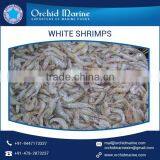 Best Quality Rich Delicious Natural White Shrimps at Competitive Market Rate thumbnail-3