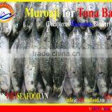 FROZEN MUROAJI FOR TUNA BAIT thumbnail-1