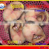 FROZEN STEAK SPANISH MACKEREL thumbnail-1
