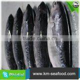 Carton or Woven Bag Packed Without Faure Marin Iced Bonito thumbnail-4