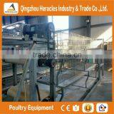 Heracles Factory Price Poultry Farming Equipment H Type Chicken Layer Cage for Sale thumbnail-1