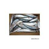 Sell Large Size Pacific Mackrel thumbnail-1