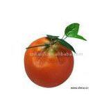 Sell Kinds of Artificial Fruits, Oranges thumbnail-1