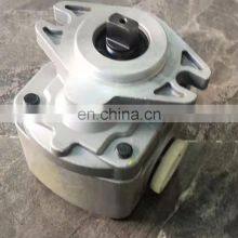 Gear Pump thumbnail-1