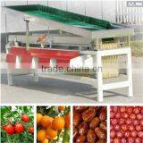 High Efficiency Factory Jujube Sorting Machine thumbnail-3