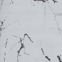 Hongmei Water Transfer Printing Film Water Coated Flower Paper Water Immersed Film Printing thumbnail-3