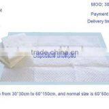 Disposable Underpad