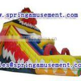 Interesting Cock Model Inflatable Slide, Inflatable Water Slide, Inflatables SP-SL086