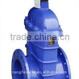 Non Rising Stem Gate Valve
