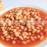 Quality Canned White Kidney Beans Products in Tomato Sauce thumbnail-2