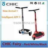 Portable Self Balanced Hangzhou Hoverboard With Samsung Battery