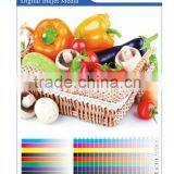 Matte Photo Paper for Eco-solvent Ink