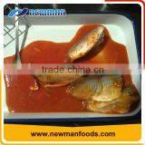 Custom made 425g tomato sauce flavor canned fish mackerel