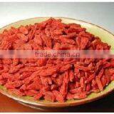 Dried Ningxia Goji Berries China Medlar Fruits thumbnail-1