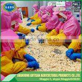 Frozen Garlic Puree thumbnail-5