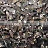 Chinese Dried Morels Mushroom
