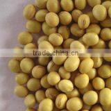 Soyabean Meal 43%-48% thumbnail-5