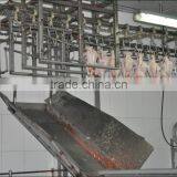 Bird Processing Plant for Broilers thumbnail-1