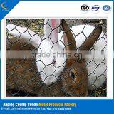 /Hot Sale Chicken Wire Netting/ Hexagonal Wire Netting/ Poultry Mesh/lowest Price/highest Quality thumbnail-3