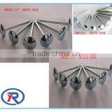 Cheap Price BWG12X2" Umbrella Head Roofing Nails With Plain Shank and Washer thumbnail-6