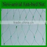 Hdpe Agricultural Bird Netting, Plastic Garden Bird Catch Net for Sale thumbnail-4