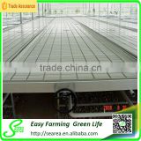 Hot sale ebb and flow hydroponic