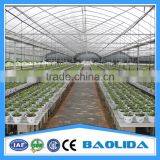 Galvanized Steel Frame Agricultural Greenhouse For Sale thumbnail-2