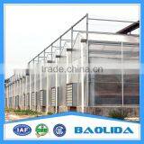 Glass House for Vegetables and Commercial thumbnail-4