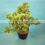 Home Garden Decoration 50cm to 160 cm Hight Small Indoor Canadian Artificial Green Pot Plastic Similar Pine Trees ELSPZ02 0901 thumbnail-5