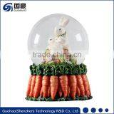 Easter carrot snowglobes Collection photo snow globes