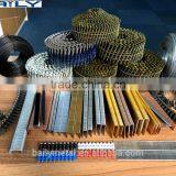 71 Series Lndustry Nails 22ga High Quality Cheap Price Furniture Sofa Staples thumbnail-6