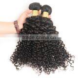 Kinky Curly Virgin Indian Hair Wholesale Unprocessed 8A Indian Human Hair Weaves Extension thumbnail-5