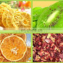 Fruit Vegetable Dehydrator/ Small Commercial Fruit Deyhdrator thumbnail-3