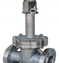 ANSI Cryogenic Gate Valve