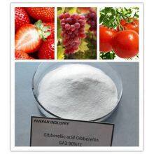 Supply Agrochemical Gibberellic Acid Ga3 90%tc for Sale With Price thumbnail-2