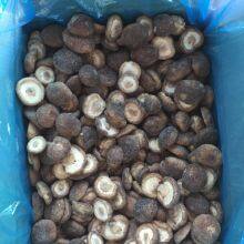 Hebei Hangen Import And Export Co.,ltd company overview - view 3 thumbnail