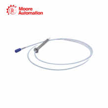 Bently Nevada 330905-00-10-10-02-00 thumbnail-4