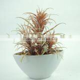 High Quality Artificial Plant Green Plant Succulent Plant thumbnail-4