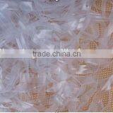 TPU Elastic Tape for Underwear Accessories