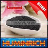 FAQ 29--How To Use Seaweed Fertilizer To Improve The Quality Of Avocado? thumbnail-6