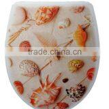 Urea Formaldehyde Toilet With Beautiful Applique Cover thumbnail-2