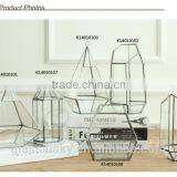 Round Terrarium Glass. Geometric Glass Terrarium Wholesale Container thumbnail-6